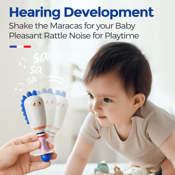 Evoceler Baby Toys - 2 Pcs Baby Rattles With Teether, Tummy Time Toys, Soft Silicone Bpa Free Dinosaur & Bear Sensory Toys For 0