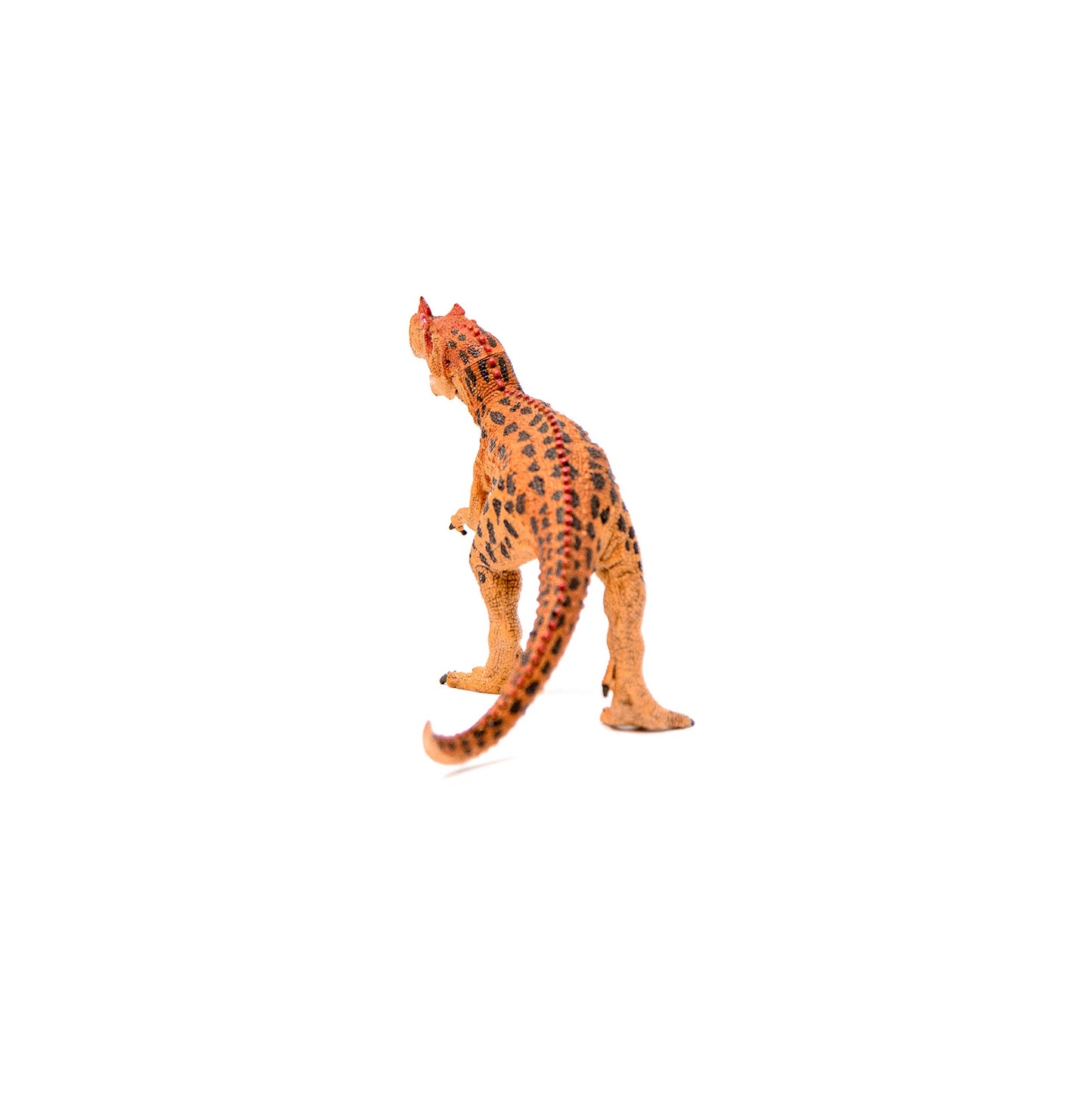 Schleich Dinosaurs, Jurassic Era Dinosaur Toys For Boys And Girls, Realistic Ceratosaurus Toy Figure With Moving Jaw, Ages 4+