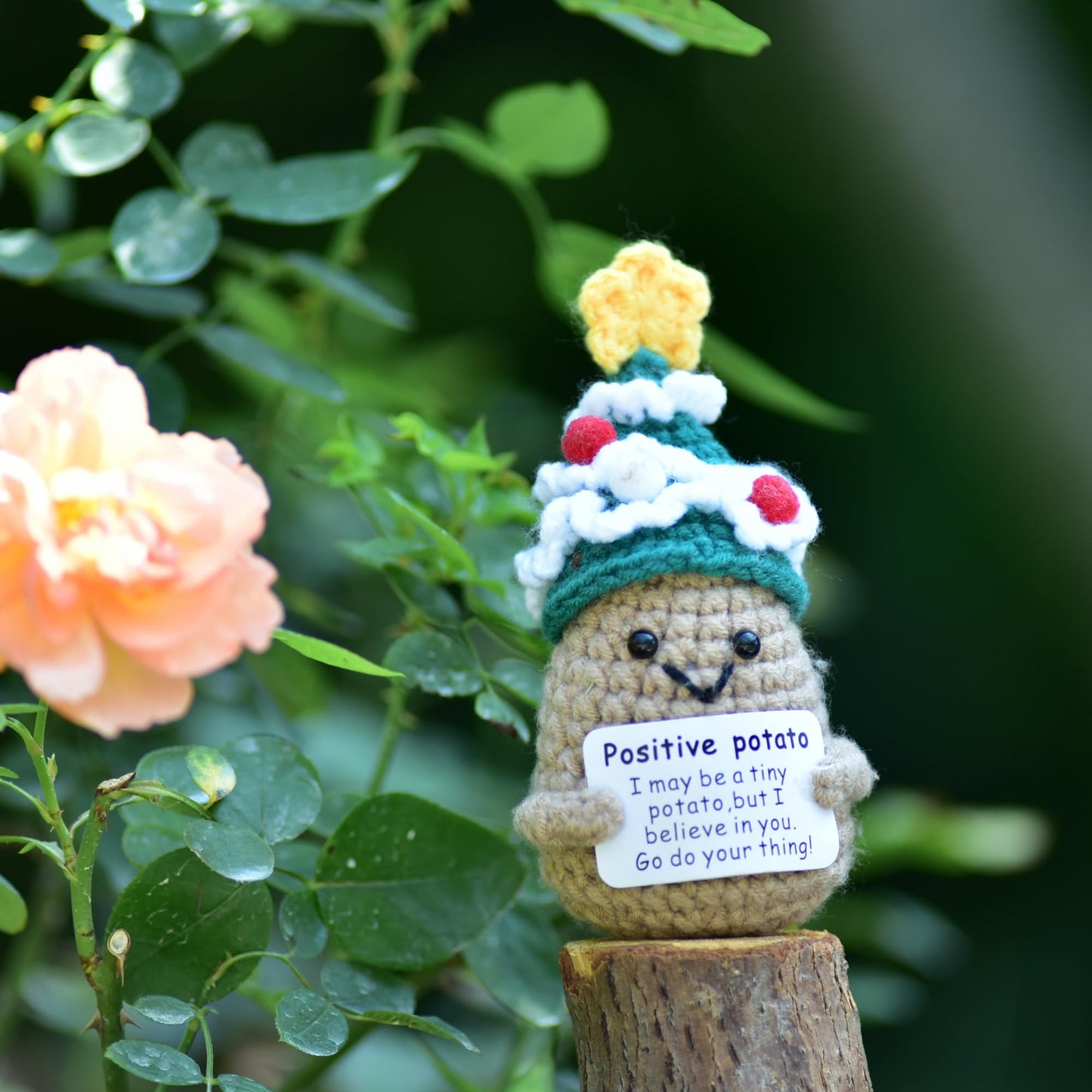 Qyqkfly 1 Pcs Positive Mini Funny Potato Holding Card Crochet Easter Birthday Christmas Mom Dad Sister Friend Wife Husband Colle