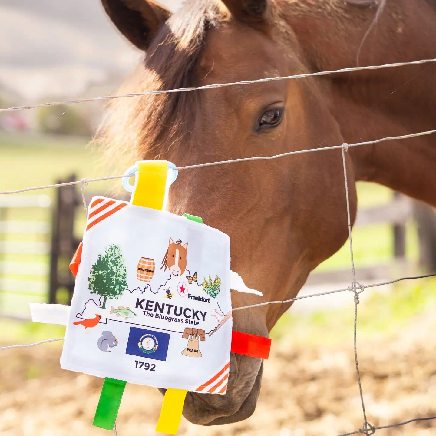 Baby Jack & Co 8X8” Learning Lovey Tag Toys For Babies - Baby Crinkle Toys - Crinkle Toys For Baby - Soft & Safe - Learn Usa State Facts - Ideal Baby Toy Bpa Free W/Stroller Clip (Kentucky)