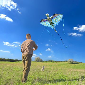 Mint'S Colorful Life Dragon Kite For Kids & Adults, Easy To Fly Kite For Beginners,Large Single Line Kite For Beach Trip With 300Ft Kite String(Green)