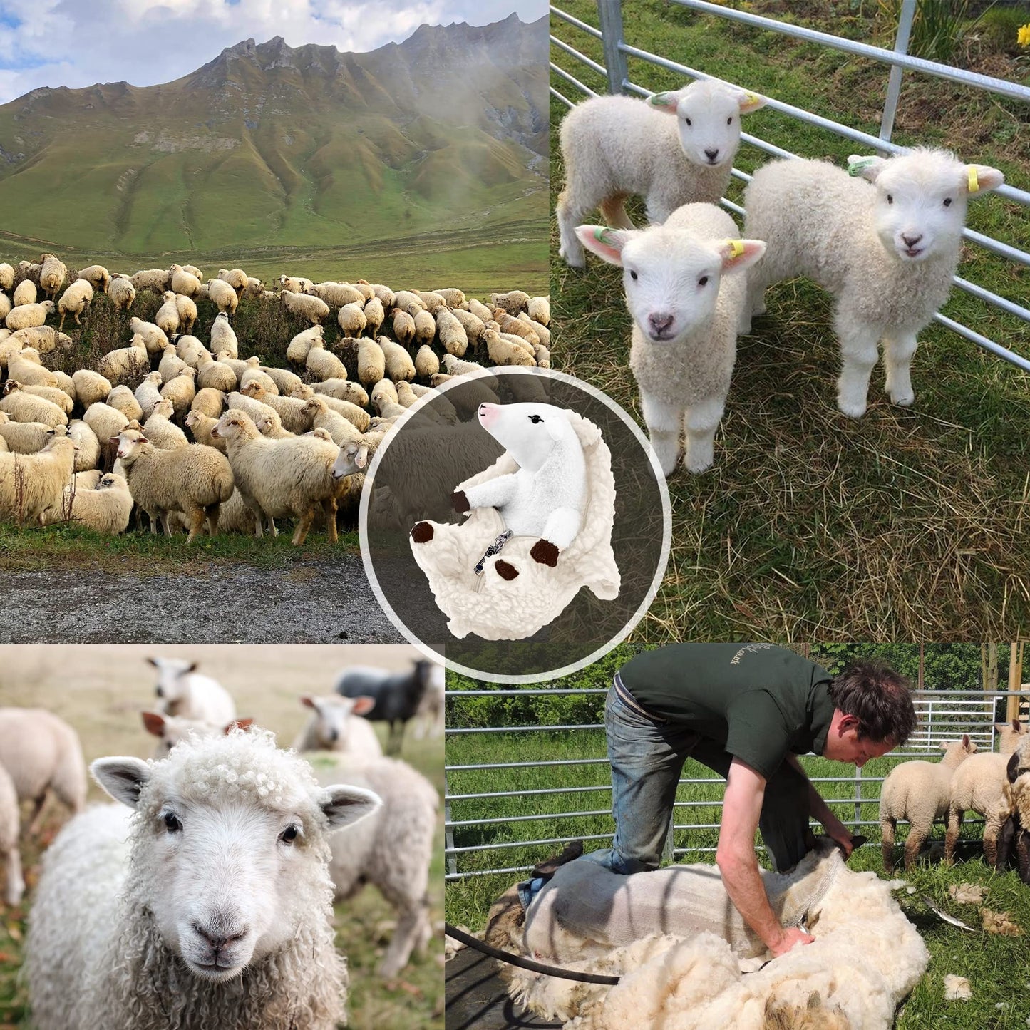 AGRIMONY Cute White Shaved Sheep Plush Toy - Small Kawaii Lamb Stuffed Animal for Kids, Teens & Women - Perfect Gift for Valentine's Day & Easter