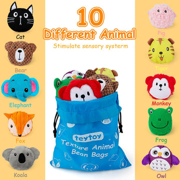 Teytoy Sensory Bean Bag For Kids 10 Pack,Texture Sensory Beanbags,Sensory Toys For Autism,Stuffed Animal Sensory Fine Motor Toys With Storage Bag For Boys And Girls