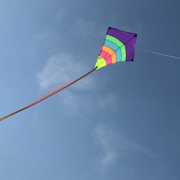 Neon Arch 27' Diamond Kite