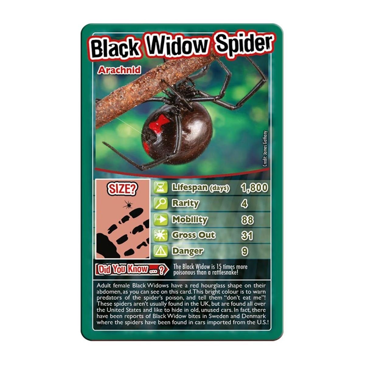 Top Trumps Bugs Classic Card Game, Learn Facts About The Black Widow, Furry Tarantula, Praying Mantis And The Ladybird In This E