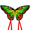 Honbo Rainbow Butterfly Kite For Adults,Single Line Kites For Kids Ages 4-8, Easy To Fly Kite With 200Ft Line And Kite Handle, Wonderful Kite For Beach, Park (Green)