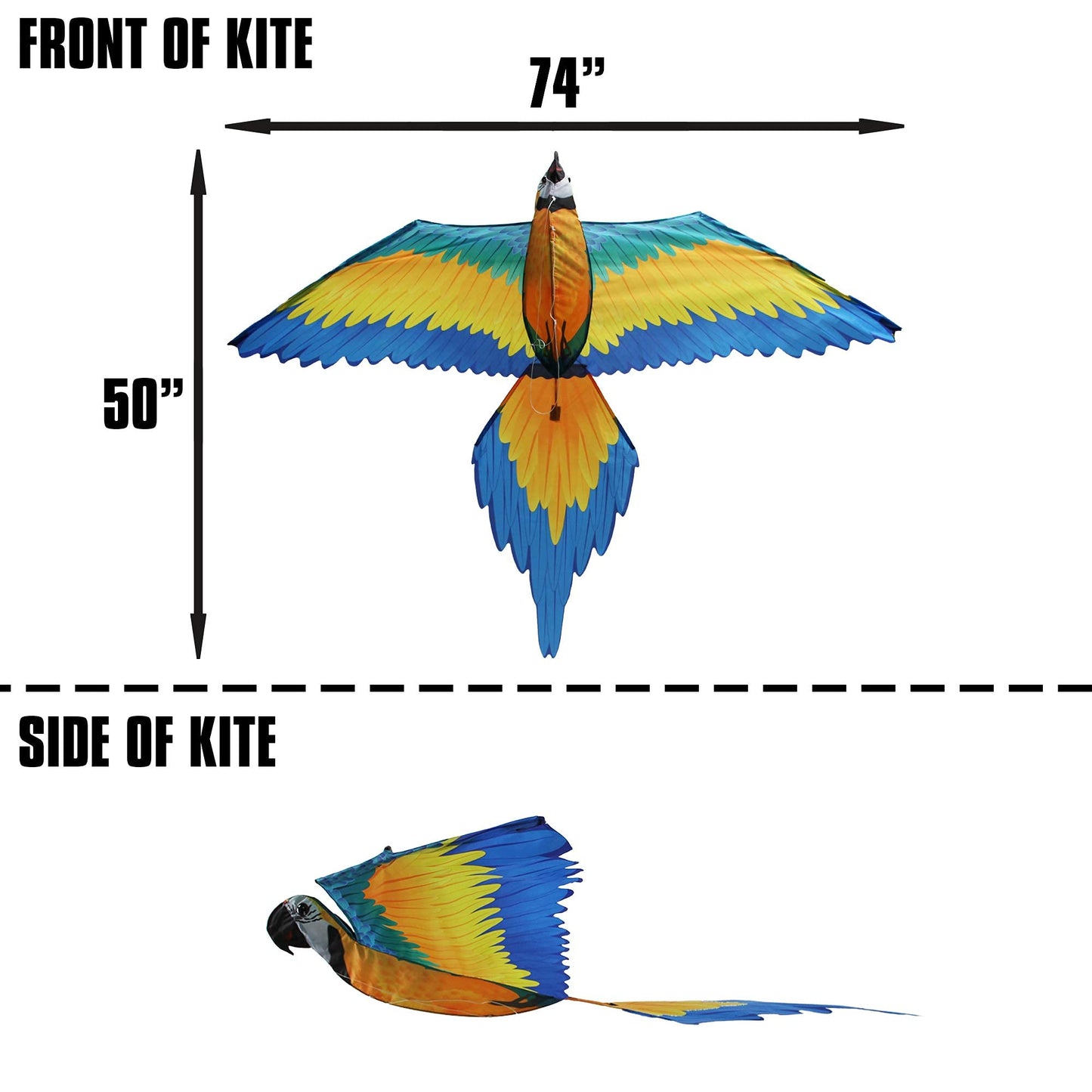 Windnsun Super Size 3D Blue Macaw Nylon Kite, 74 Inches Wide