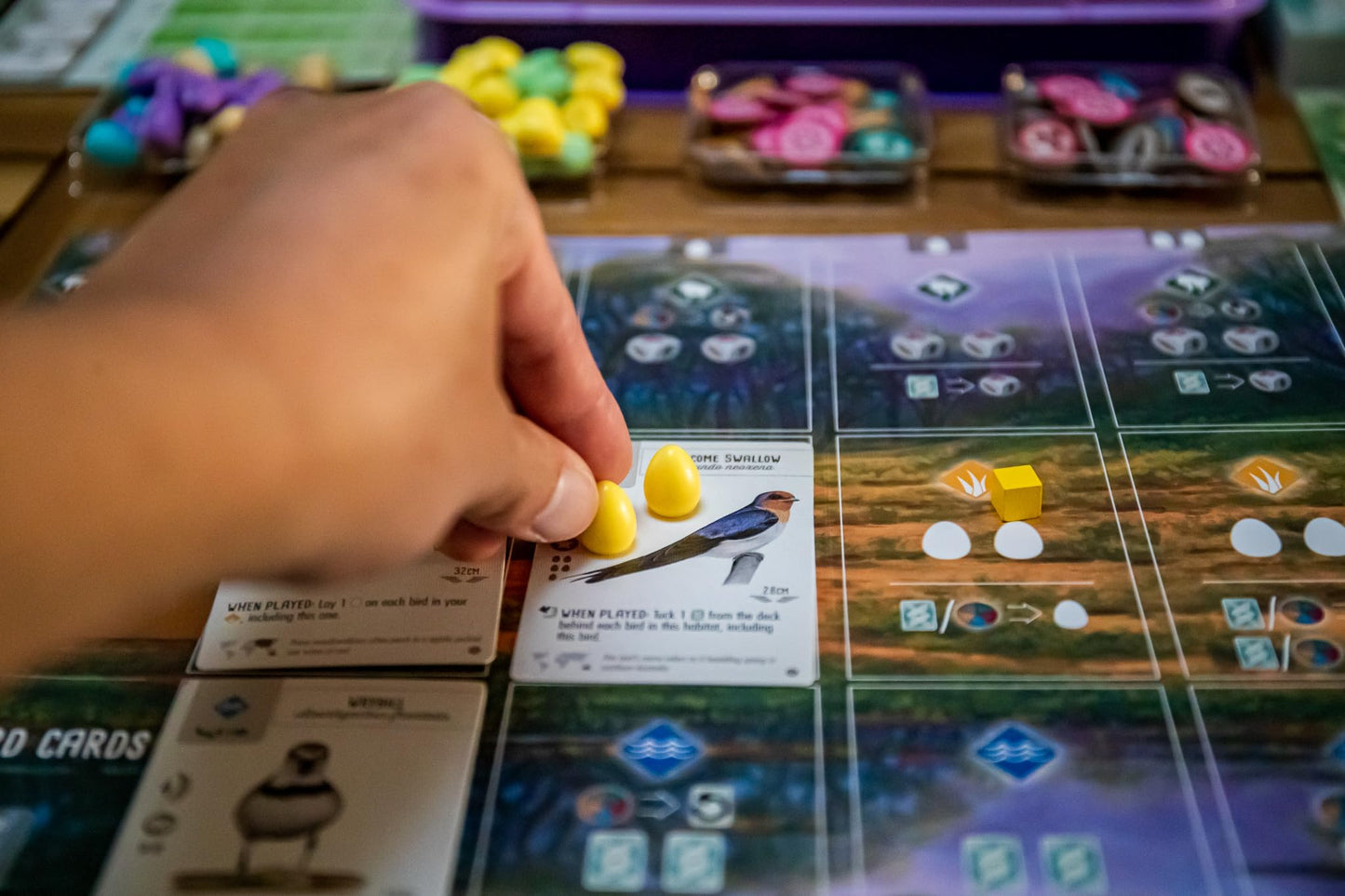 Stonemaier Games: Wingspan Oceania Expansion, Includes New Player Mats And A New Food Type, 40 To 70 Minute Play Time, 1 To 5 Pl
