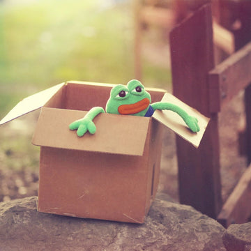 KKONES Hashtag Collectibles Plush Doll - Pepe The Frog, Small, Green, Model 8199PEPE, PVC Material