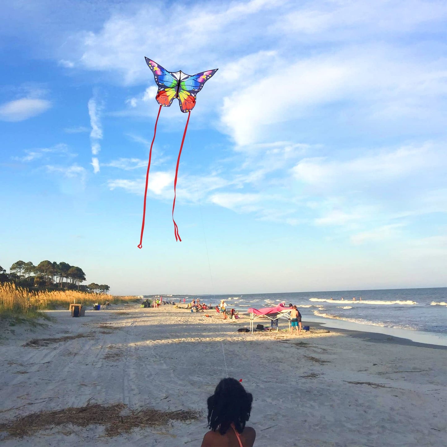 Kaiciuss Butterfly Kite For Kids & Adults Easy To Fly, 55' X 28' Large Single Line Kite For The Beach, Easy Flying Kite Comes With 300 Ft String Kite Handle