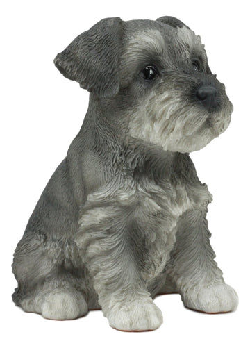 Ebros Realistic Miniature Schnauzer Puppy Statue 5.75' Tall Animal Dog Collectible Lifelike Schnauzer Figurine Decor