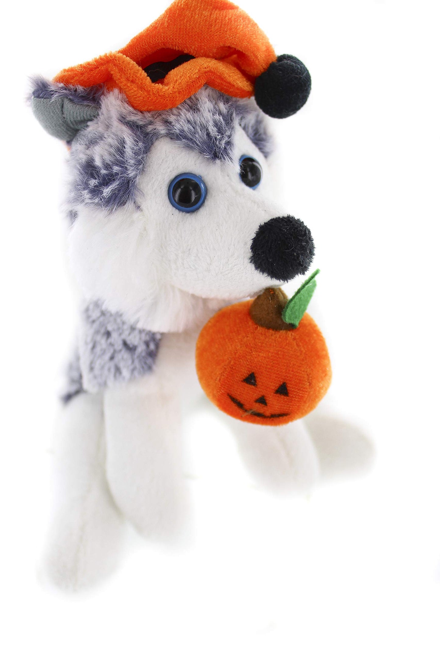 Plushland Halloween Pawpals 8 Inches Puppy Dog Plush Stuffed Toy Comes With Hat And Halloween Jack O Lantern - Pumpkin For Kids On This Holiday (Husky)