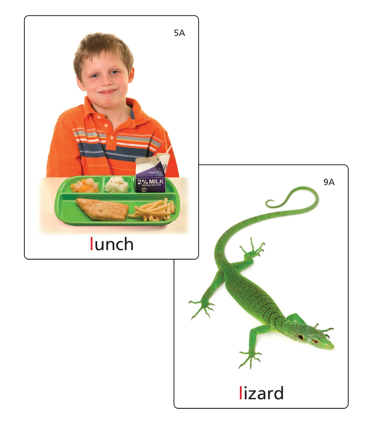 Super Duper Publications | Articulation Photos L Sound Fun Deck Flash Cards | Educational Learning Resource For Children