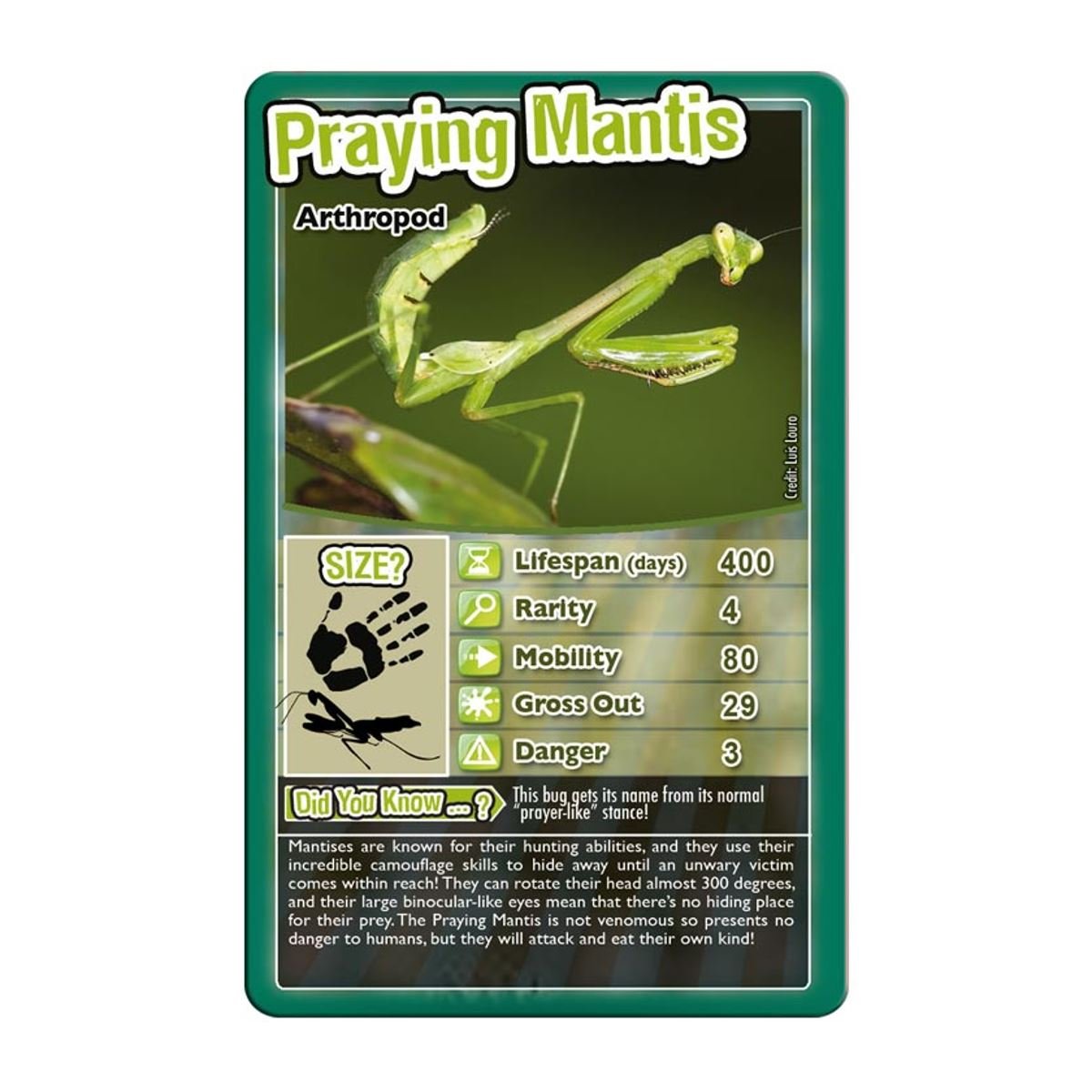 Top Trumps Bugs Classic Card Game, Learn Facts About The Black Widow, Furry Tarantula, Praying Mantis And The Ladybird In This E
