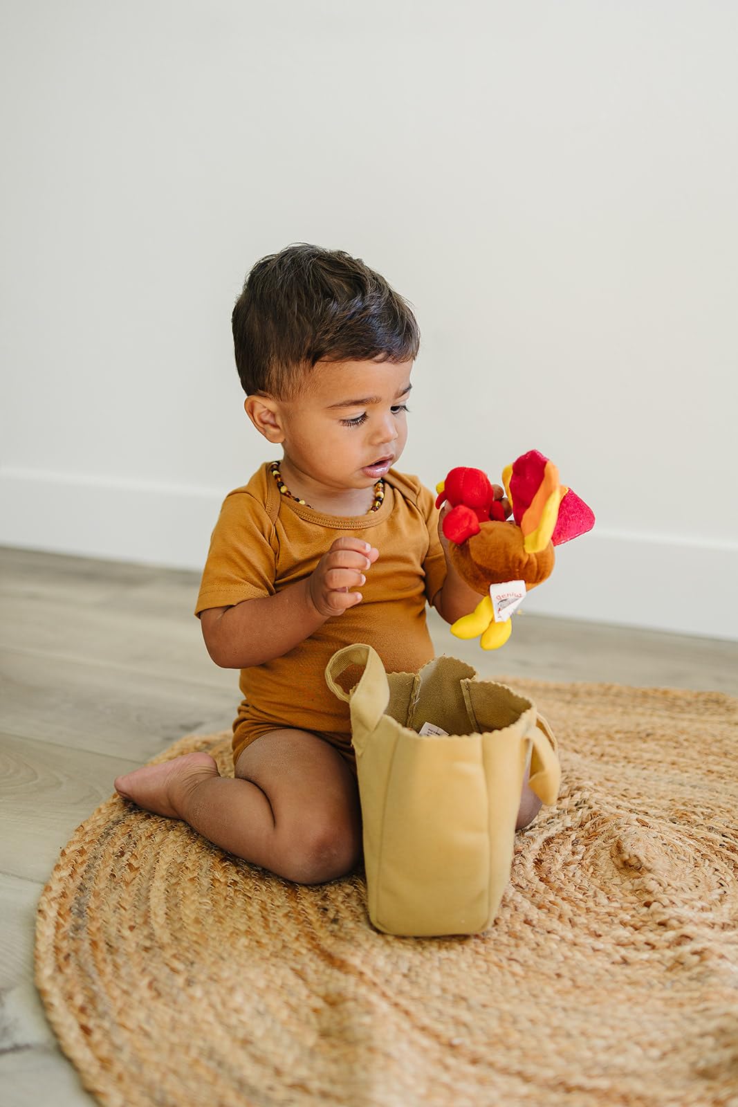 Genius Baby Toys The Original My Baby'S First Thanksgiving Playset With Turkey, Teddy Bear, Pumpkin Pie, Native American Girl