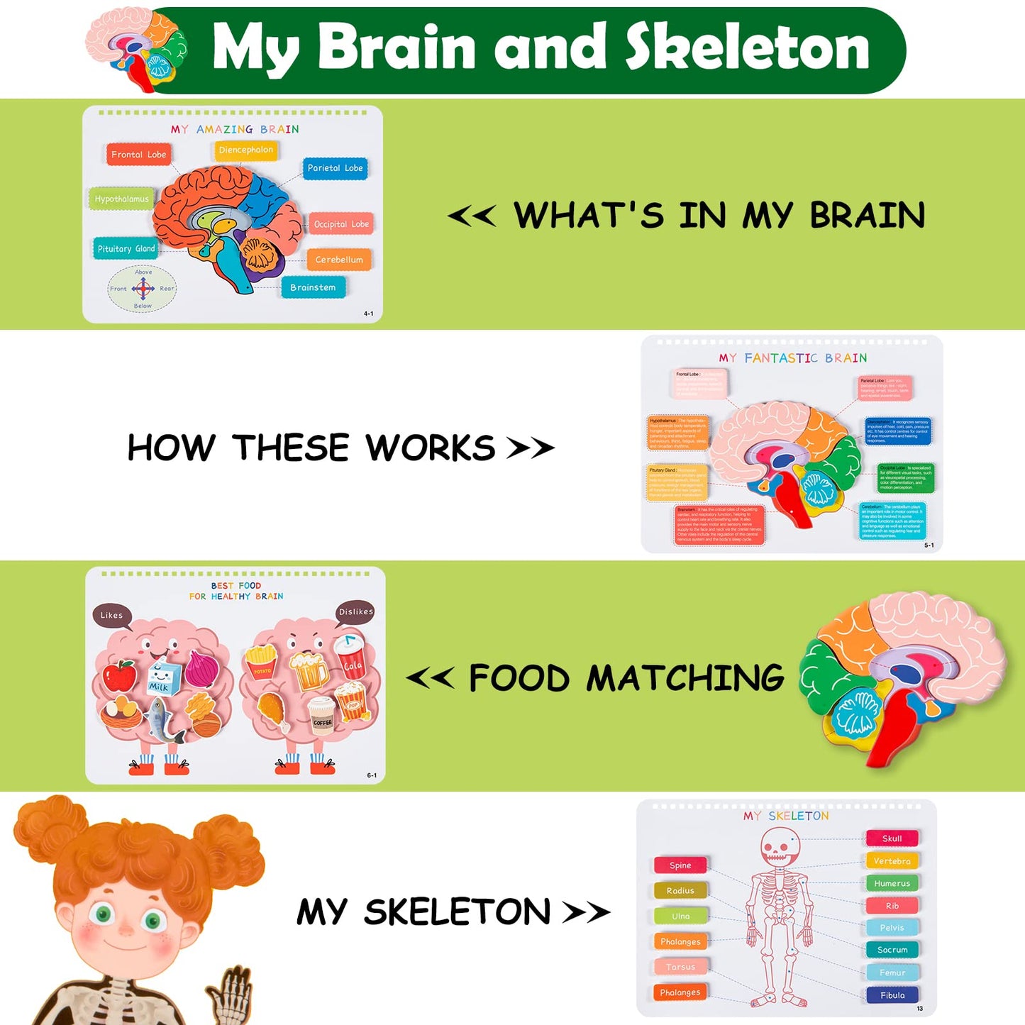Freebear Montessori Busy Book For Kids, Human Body Anatomy Book For Toddlers, Preshool Kindergarten Learning Activities, Autism Sensory Toys, Travel Toys, Gifts For Girls And Boys 4 5 6 7 8 Years