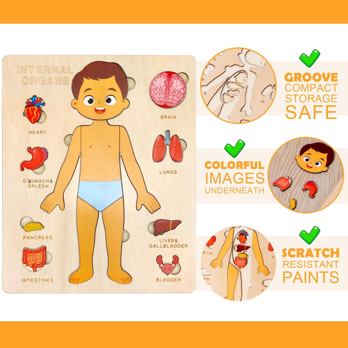 Wooden Body Puzzles For Kids, Toddler Montessori 14 Pieces Boy Anatomy Puzzle, Human Body Learning Toy With Internal Organs Earl