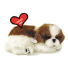 Plenty Gifts - Perfect Petzzz | Peluche R  Aliste - Shih Tzu| Avec Bote De Transport Et Lit | Piles Incluses