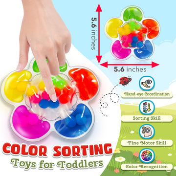 Color Sorting Toys Sensory Toys, Fine Motor Skills Game For Toddlers, Color Matching Toys Preschool Learning Activities Educational Calm Down Montessori Toys For Kids Boys Girls Ages 1 2 3 As Gifts