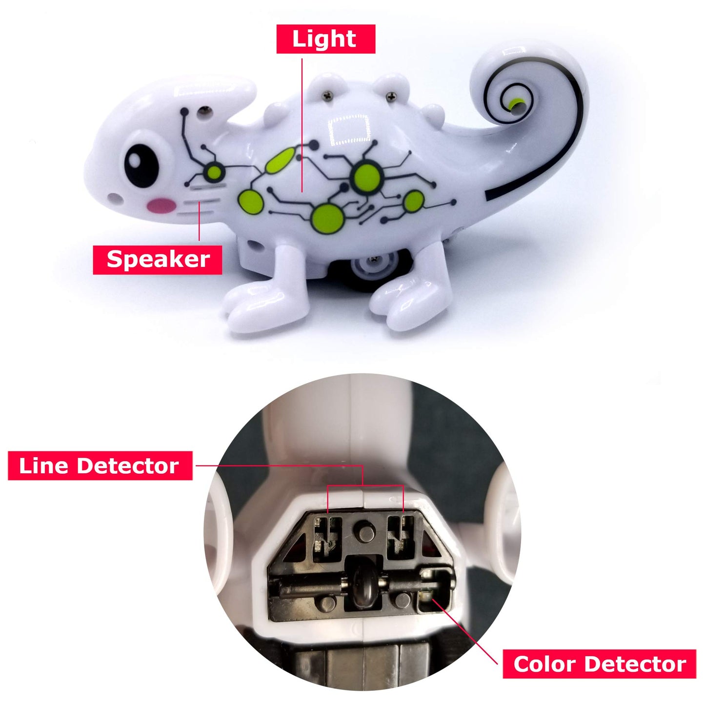 Mukikim Kool Kreepers - Color Tracer Chameleon. Inductive Steam Toy For 3+ Year Old Girls & Boys. Follow Line + 5 Led Changing Colors/Sounds Lizard Toy For Kids