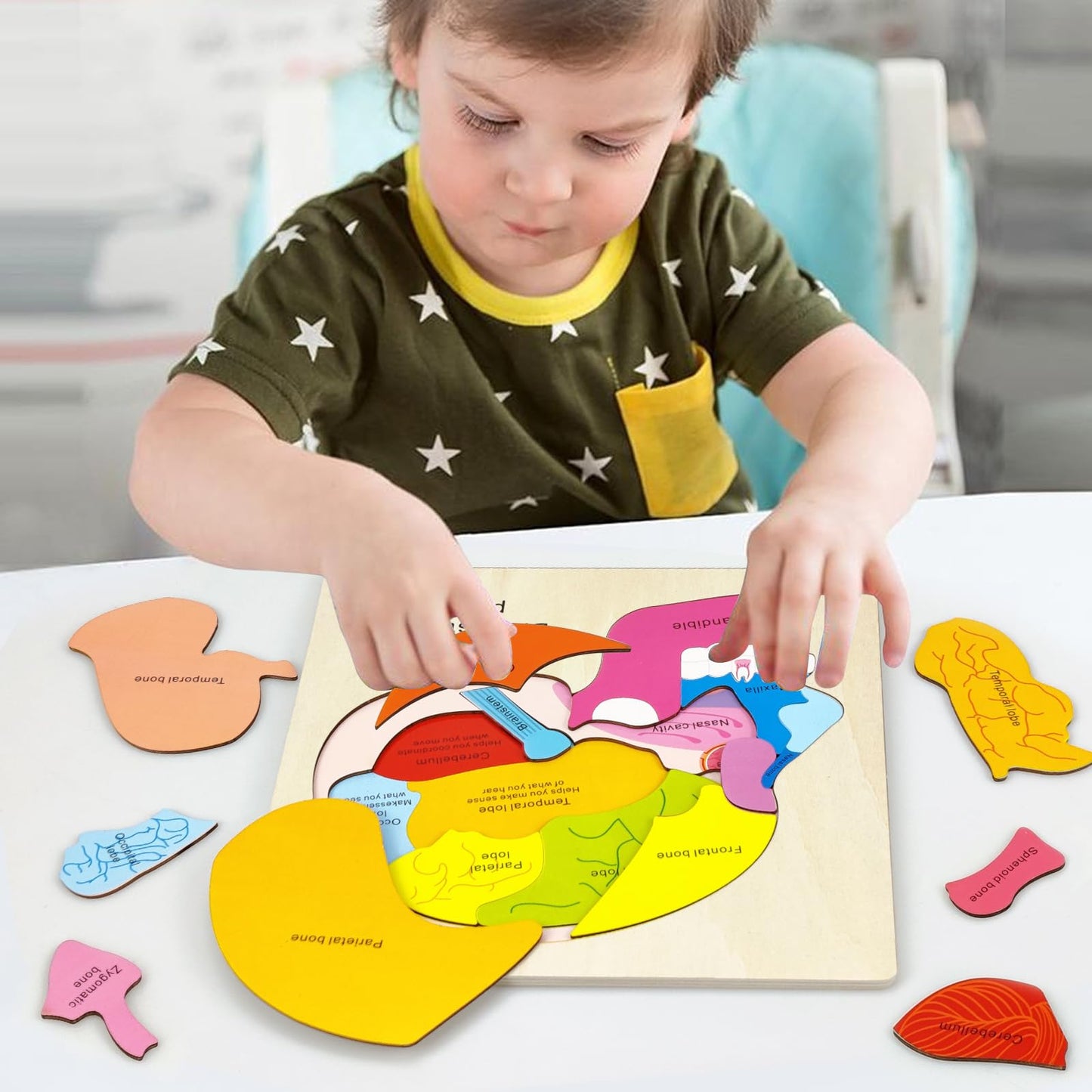 Wooden Brain Anatomy Puzzles For Kids, Toddler Montessori 16 Pieces Brain Structure Puzzle, 3-Layer Human Brain Parts Learning E