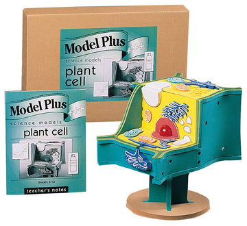 School Specialty Foam The Plant Cell Model