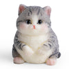 Fat Cat Taba Squishy Kit - Cute Silicone Fidget Toy, Ideal Memorial Gift For Cat Lovers (Gray)