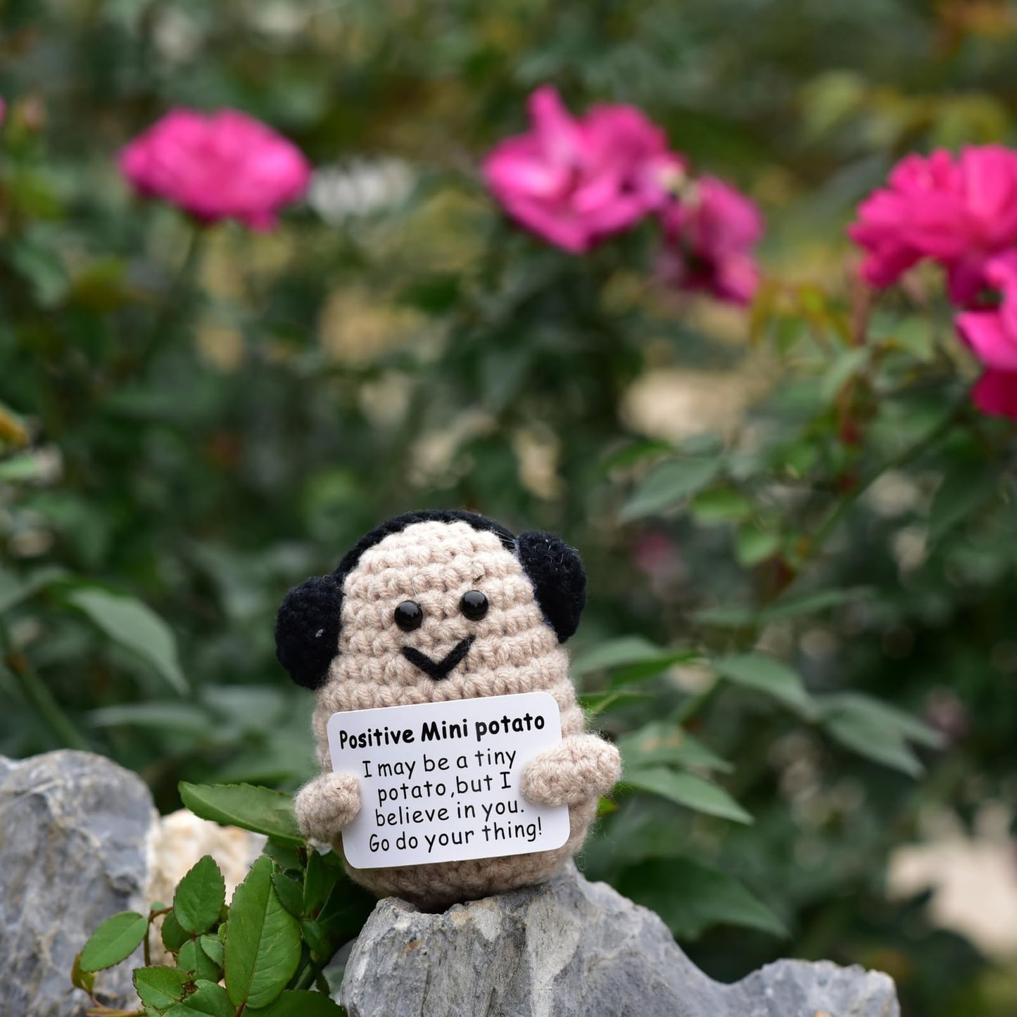 Qyqkfly 1 Pcs Mini Cute Funny Positive Life Bunny Creative Knitted Animal Holding Card Crochet Easter Birthday Christmas Girls G