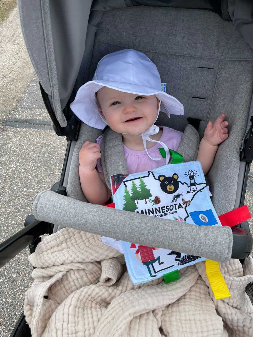 Baby Jack & Co 8X8” Learning Lovey Tag Toys For Babies - Baby Crinkle Toys - Crinkle Toys For Baby - Soft & Safe - Learn Usa State Facts - Ideal Baby Toy Bpa Free W/Stroller Clip (Minnesota)