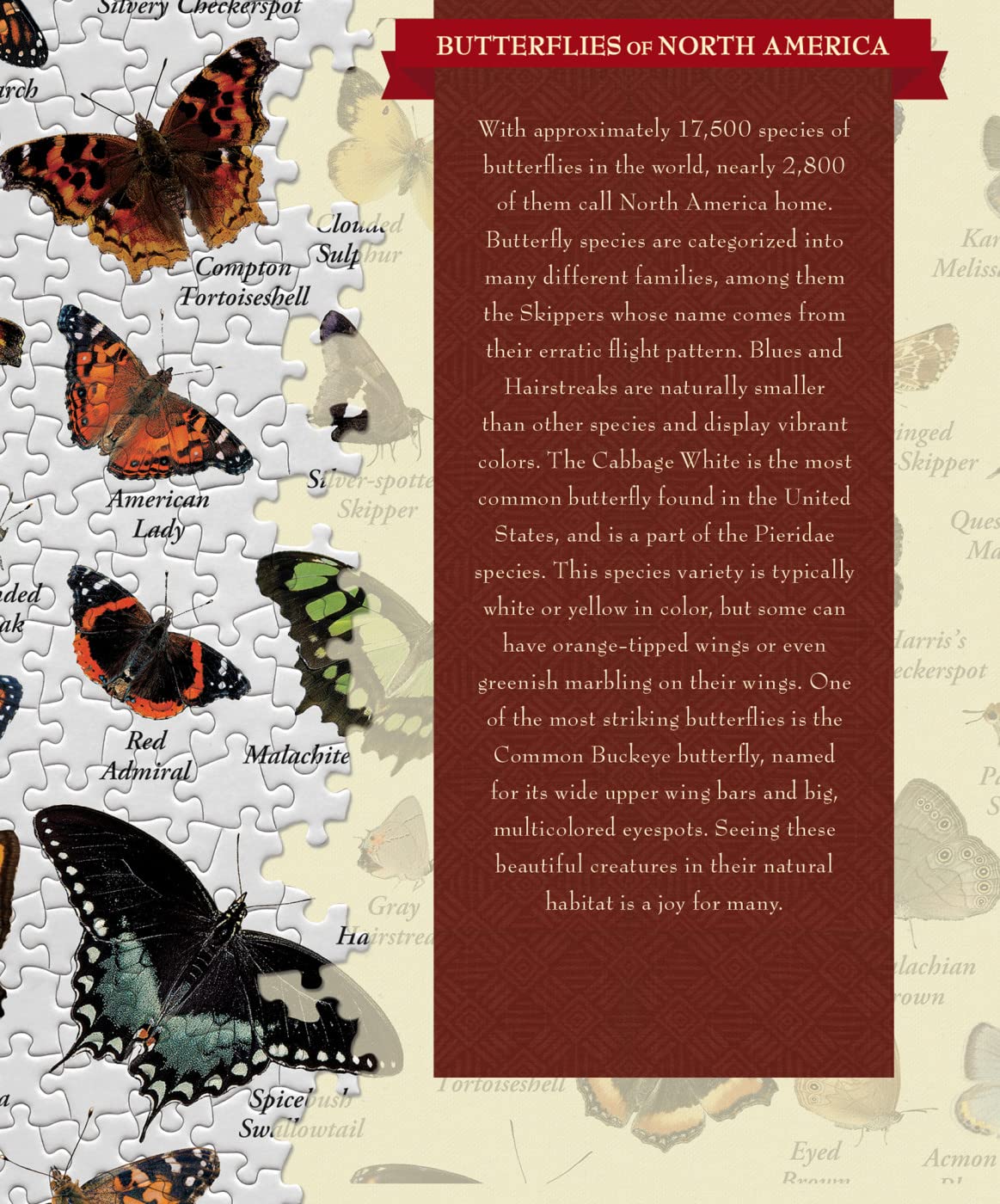 Masterpieces 1000 Piece Jigsaw Puzzle For Adults, Family, Or Youth - Butterflies Of North America - 19.25''X26.75''