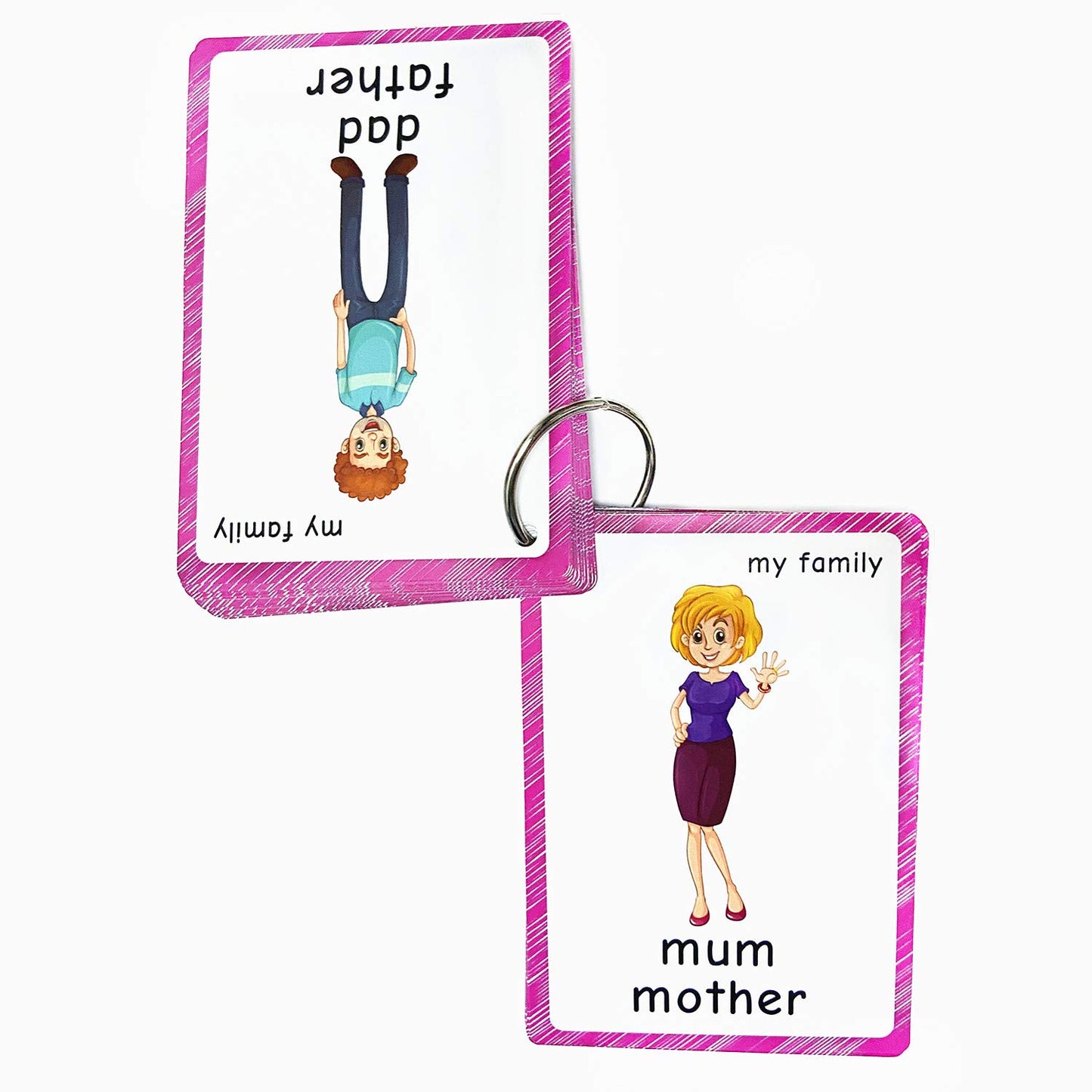 Family Tree Flashcards For Toddlers(22 Pcs)| English Learning Cards For Kindergarten Classroom Decoration | Perfect For Pre-K Decor Background Wall Stickers, Teacher/Autism Therapists Tools