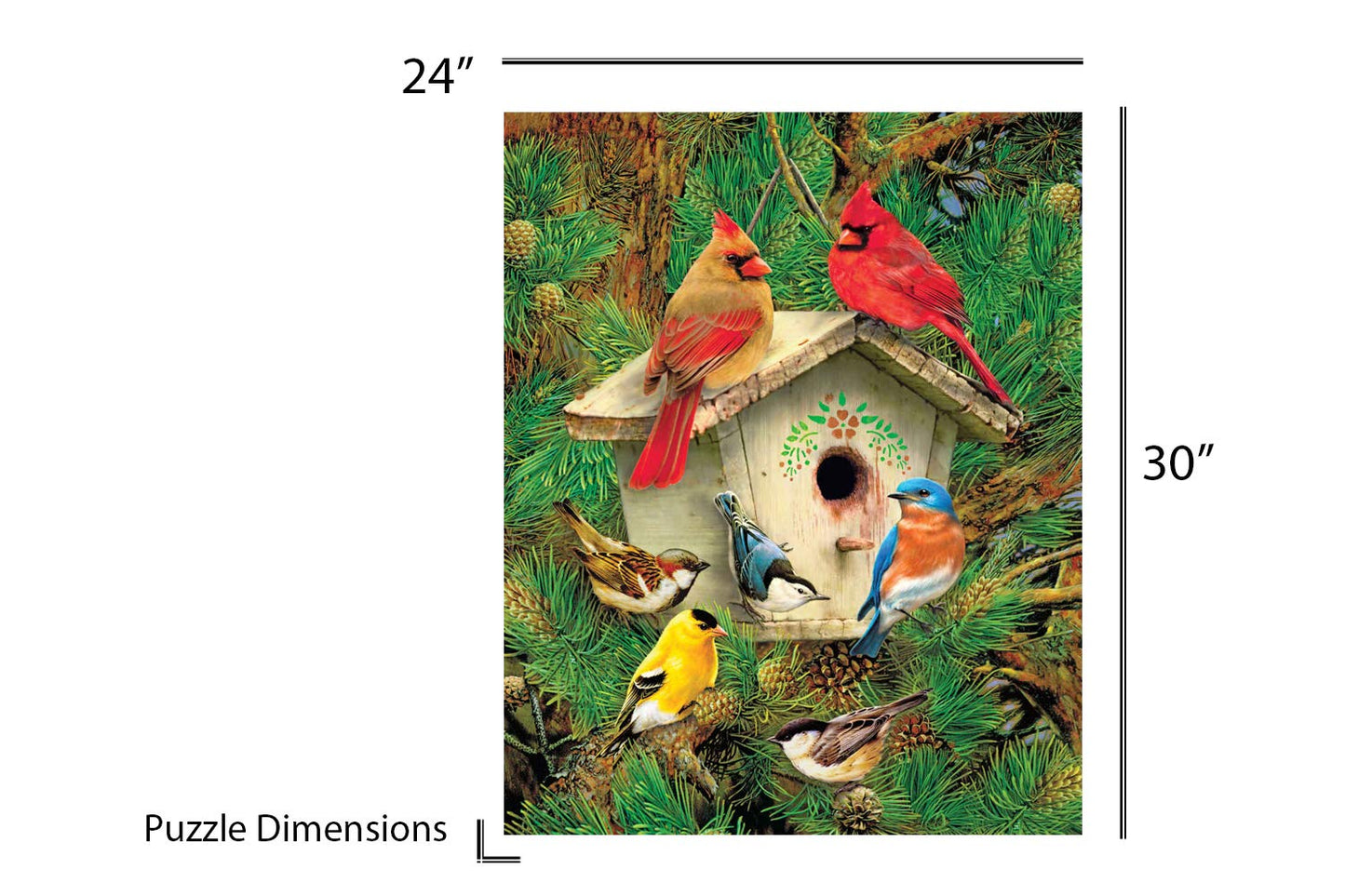 Springbok'S 1000 Piece Jigsaw Puzzle Feathered Retreat - Made In Usa