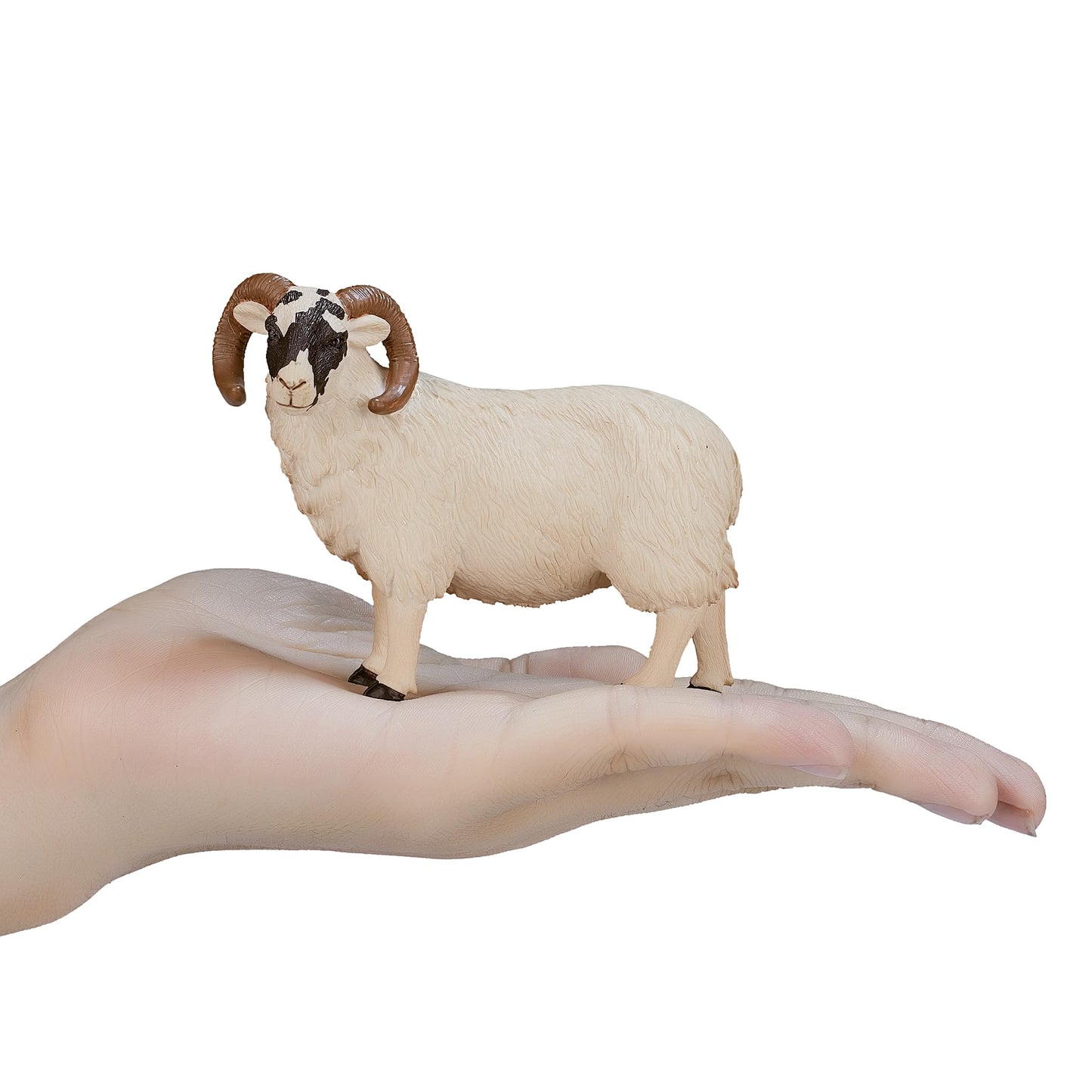 MOJO Realistic Black Faced Sheep Ram Figurine - Hand Painted Non-Phthalate PVC Toy, Mixed Color, Model 387081