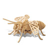 Puzzled 3D Puzzle Honeybee Wood Craft Construction Model Kit, Unique & Educational Diy Wooden Insect Toy Assemble Bee Model Unfinished Crafting Hobby Puzzle To Build & Paint For Decoration 32Pcs Pack