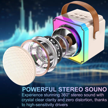 Ranphykx Mini Karaoke Machine For Kids Adults, Portable Bluetooth Speaker With 2 Wireless Microphones, Birthday Toys For Girls A