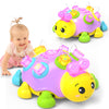 Holaxander Musical Ladybug Baby Toys 6-12 Months, Infant Early Educational Learning Montessori Toy for 1+ Year Old Girl, First B