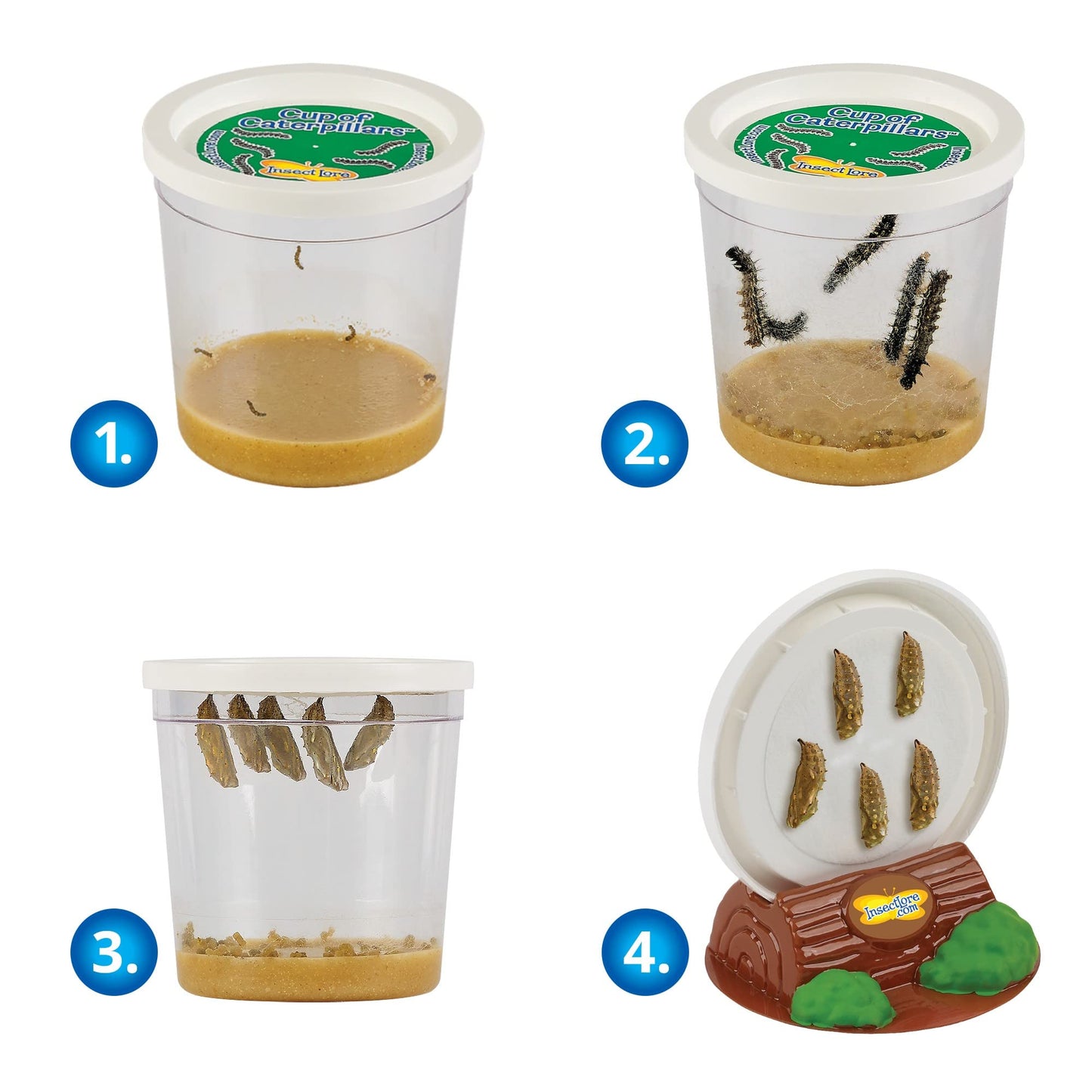 Insect Lore Butterfly Garden Gift Set | 8' Habitat With Live Cup Of Caterpillars | Stickers And Extras Included | Life Science & Stem Education Kit | Grow Painted Lady Butterflies