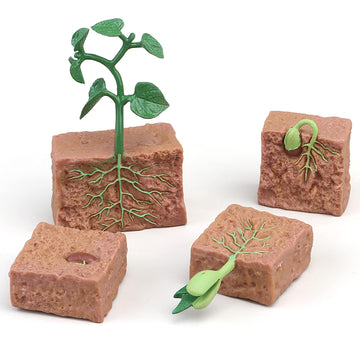 Montessori Life Cycle Animal Figurines Learning & Education Toys, Plastic Insect Life Cycle Toys For Kids, Preschool Learning Activities For Toddlers (Plant Bee Ant)