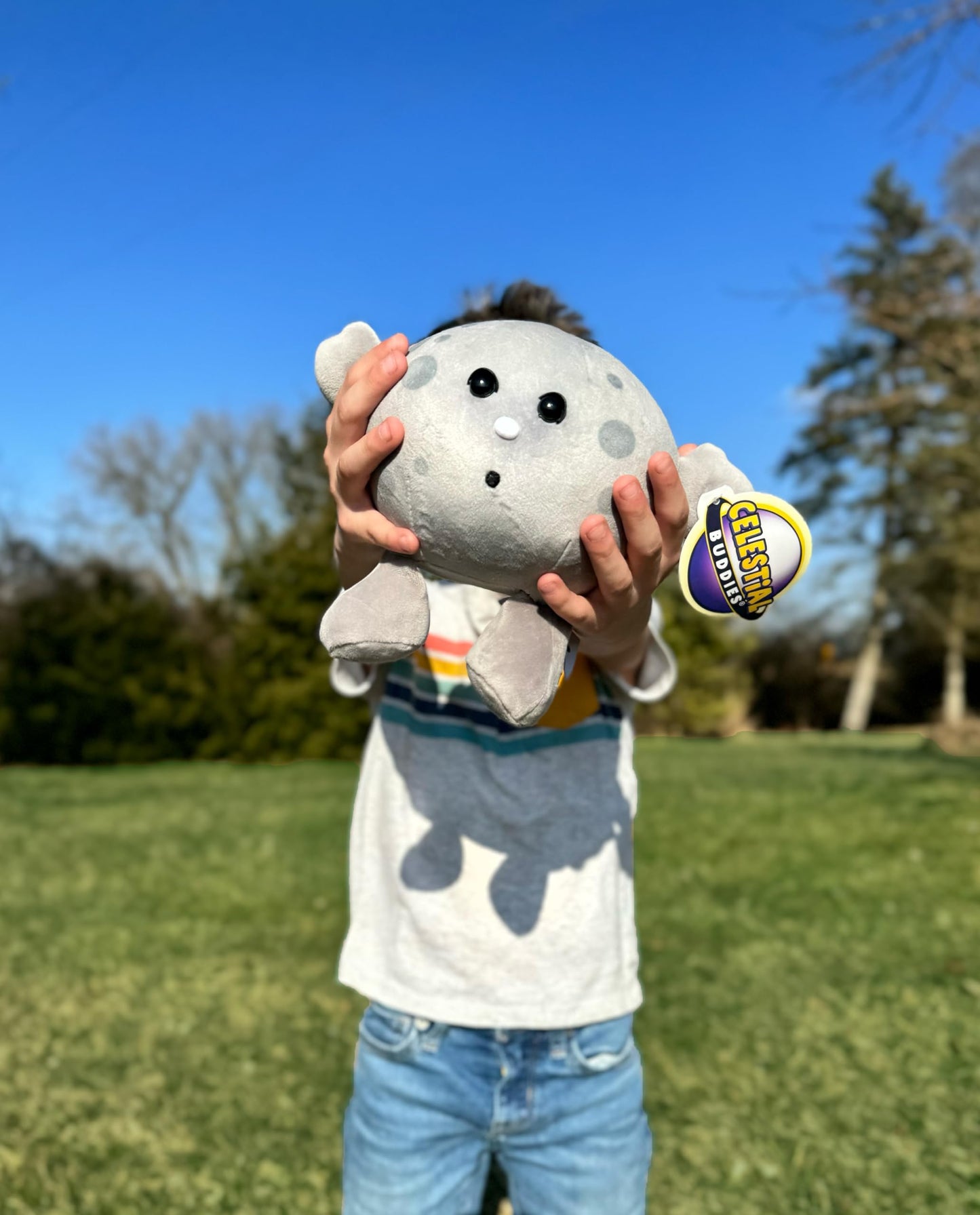 Celestial Buddies Moon Buddy Learning Science Astronomy Space Solar System Educational Plush Stuffed Planet Toy - 8.5 Inches
