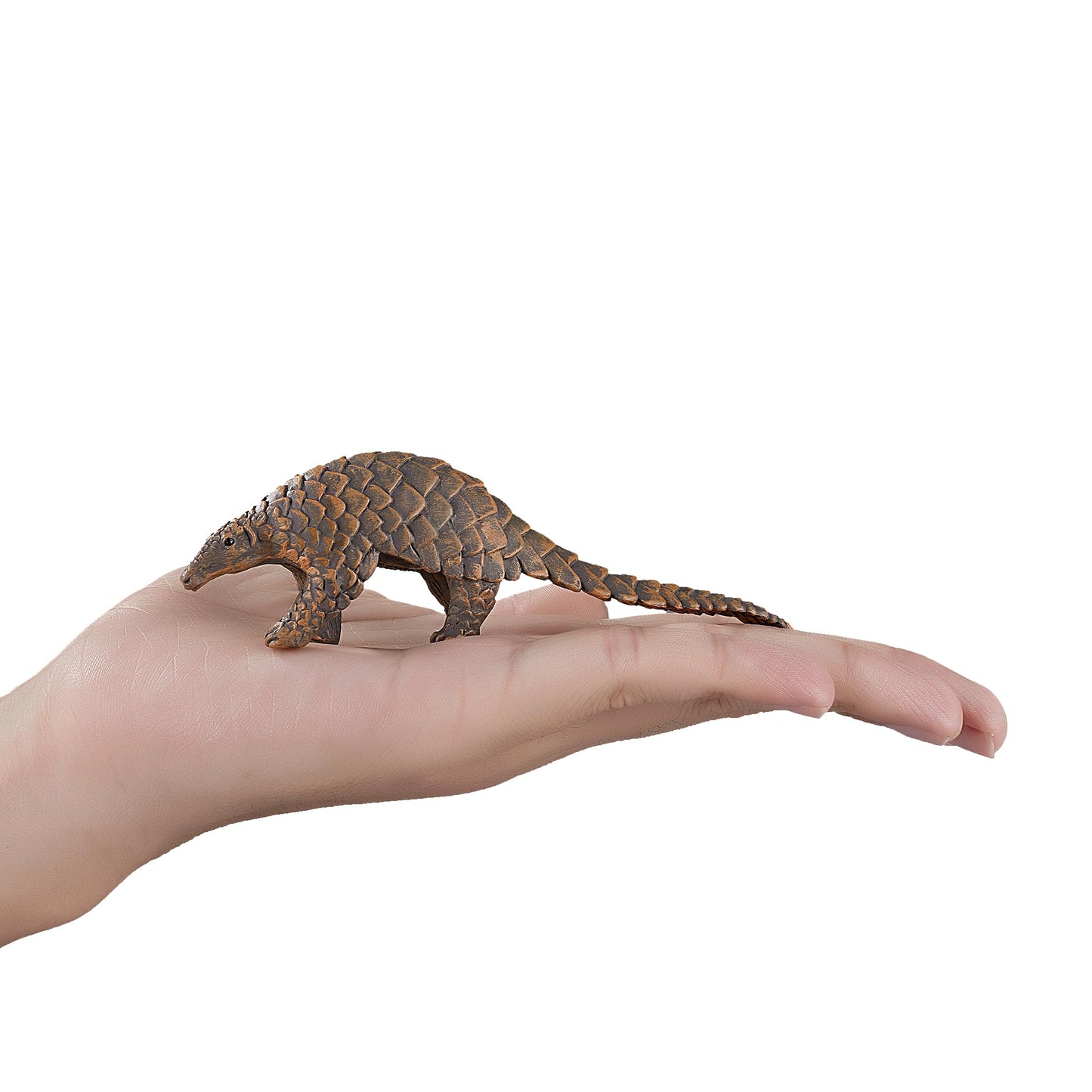 Mojo Indian Pangolin Realistic International Wildlife Hand Painted Toy Figurine