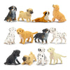 Toymany Mini Dog Figurines Playset - 12 pcs Hand Painted Plastic Puppy Figures, Realistic Dog Toys, Perfect for Cake Toppers & Gifts