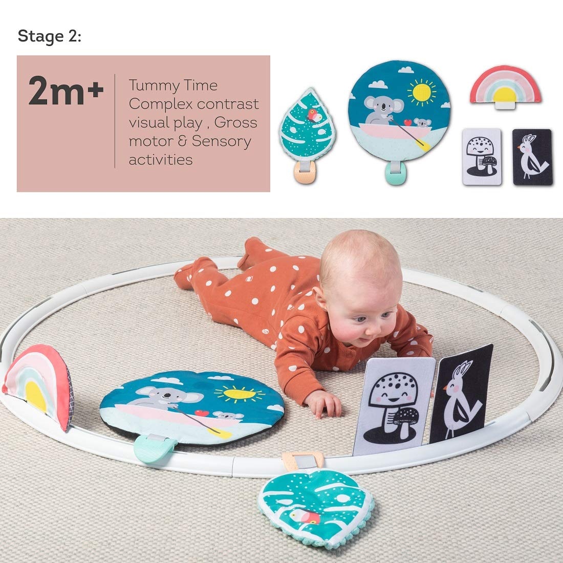 Taf Toys All Around Me Activity Hoop | Developmental Hoop, Prefect For Newborns And Up, With 24 Developmental Activities. Designed To Promote Baby’S Senses, Motor Skills And Cognitive Development