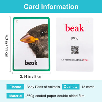 Lilias Body Parts Of Animals Flash Cards, Toddler Learning Toys, Preschool Learning Toys, Homeschool Supplies, Learning Supplies