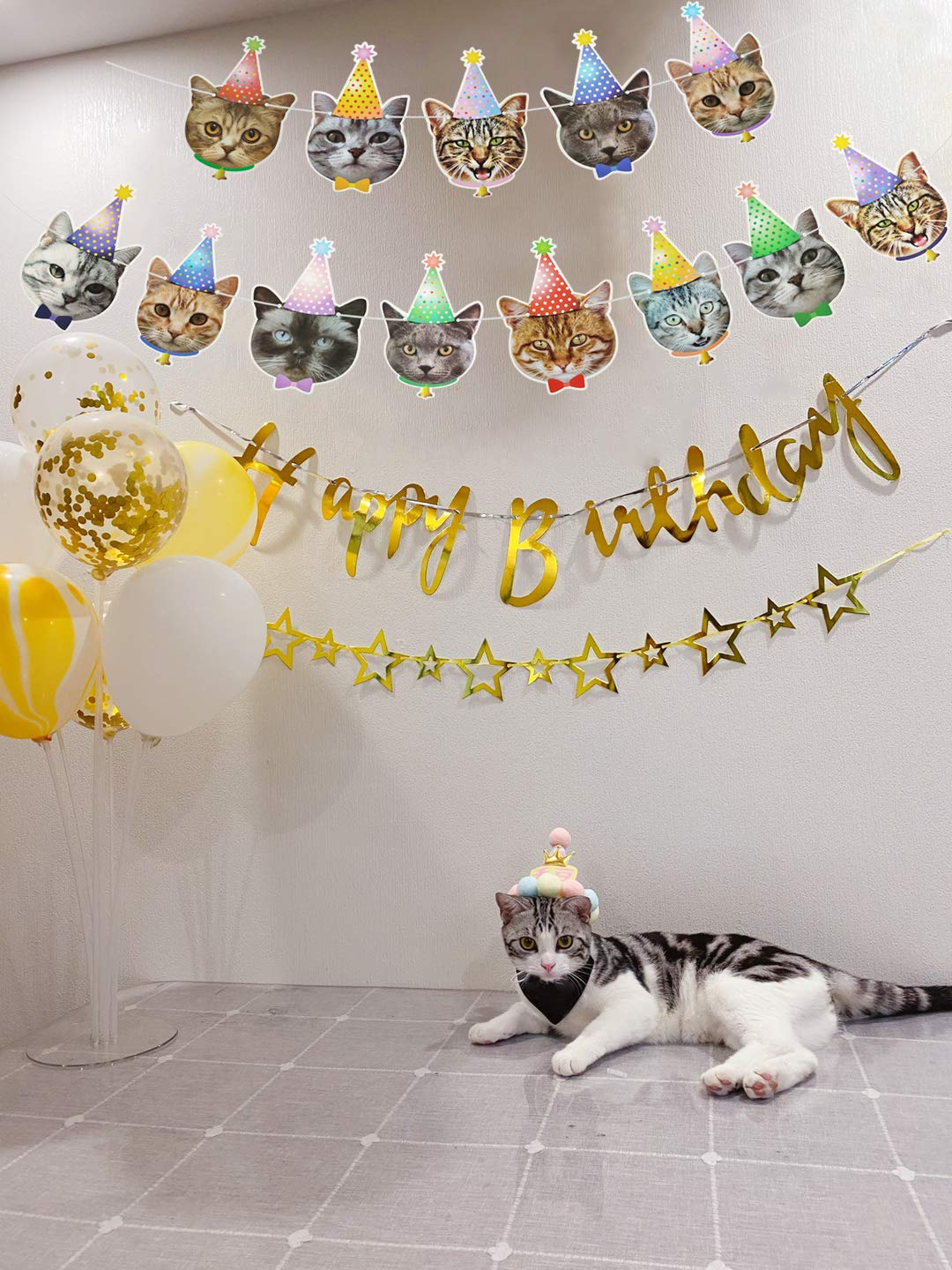 MGJSRNH Cat Happy Birthday Banner - 14 Piece Set, Paper Decor, Bday Cat Theme for Kids' Parties and Baby Showers