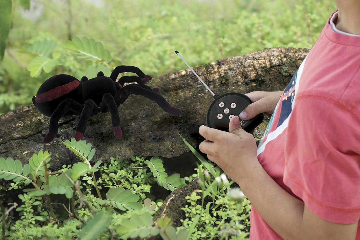 Lexibook, Realistic Remote Controlled Tarantula/Spider, 8 Hairy Legs, 2 mandibles, Light Effects in The Eyes, Remote Control Inc