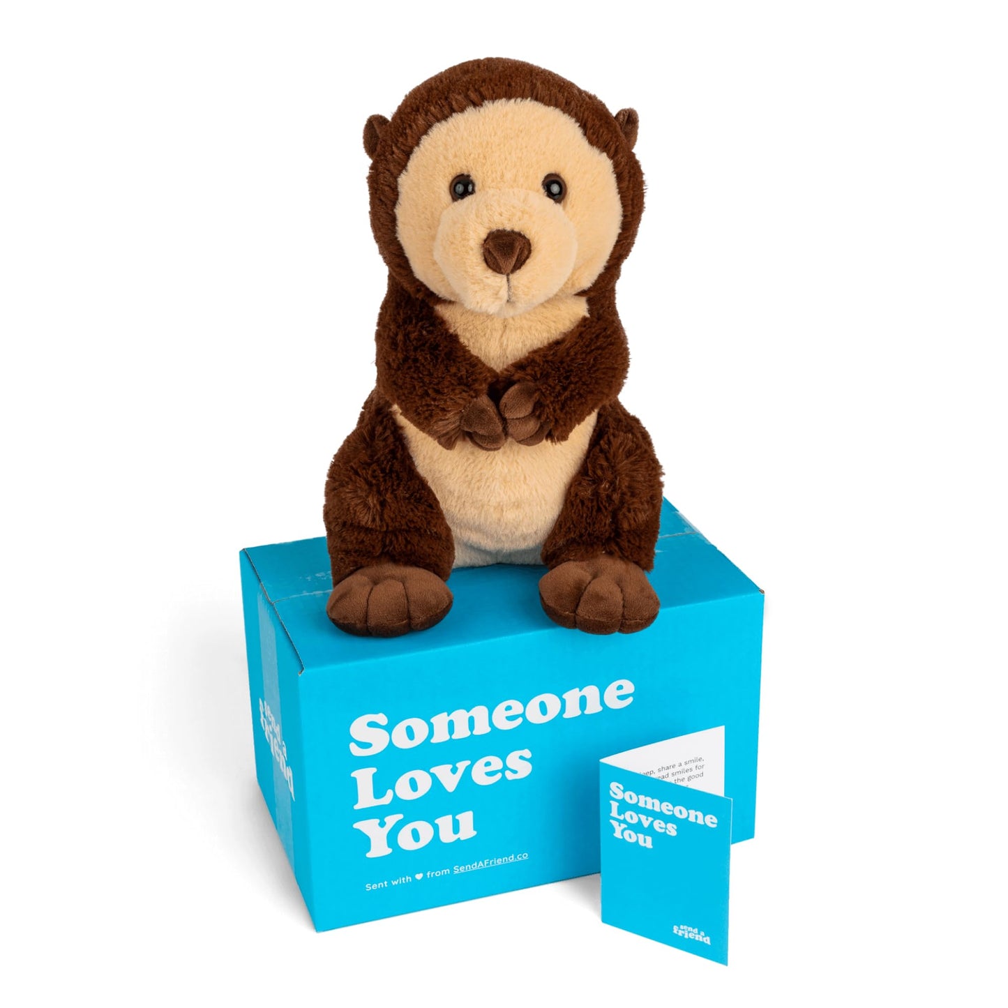 Sendafriend Oliver The Otter Stuffed Animal Care Package, Someone Loves You Box, Great Gift For Any Reason (Miss You Notecard)