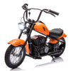 JoyWheels Kids Electric Motorcycle, 24V 250W Dirt Bike, 14MPH, Iron Frame, Orange, LED Lights, Leather Seat