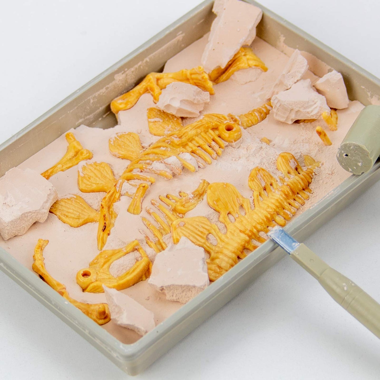 Science4You - Stegosaurus Fossil Digging Kit For Kids +6 - Excavate And Assemble 10 Stegosaurus Fossiles - Ideal Dinosaur Excava