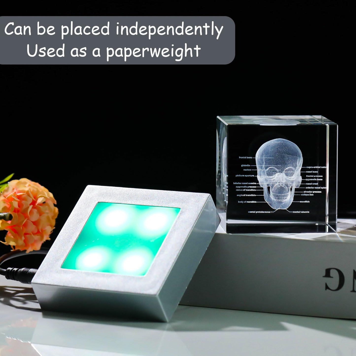 Movdyka 3D Crystal Human Skull Skeleton Model Graduation Gifts For Medical Students, Laser Etched Skull Decor Lamp Figurine Paperweight Science Biology Doctor Gift For Him Her