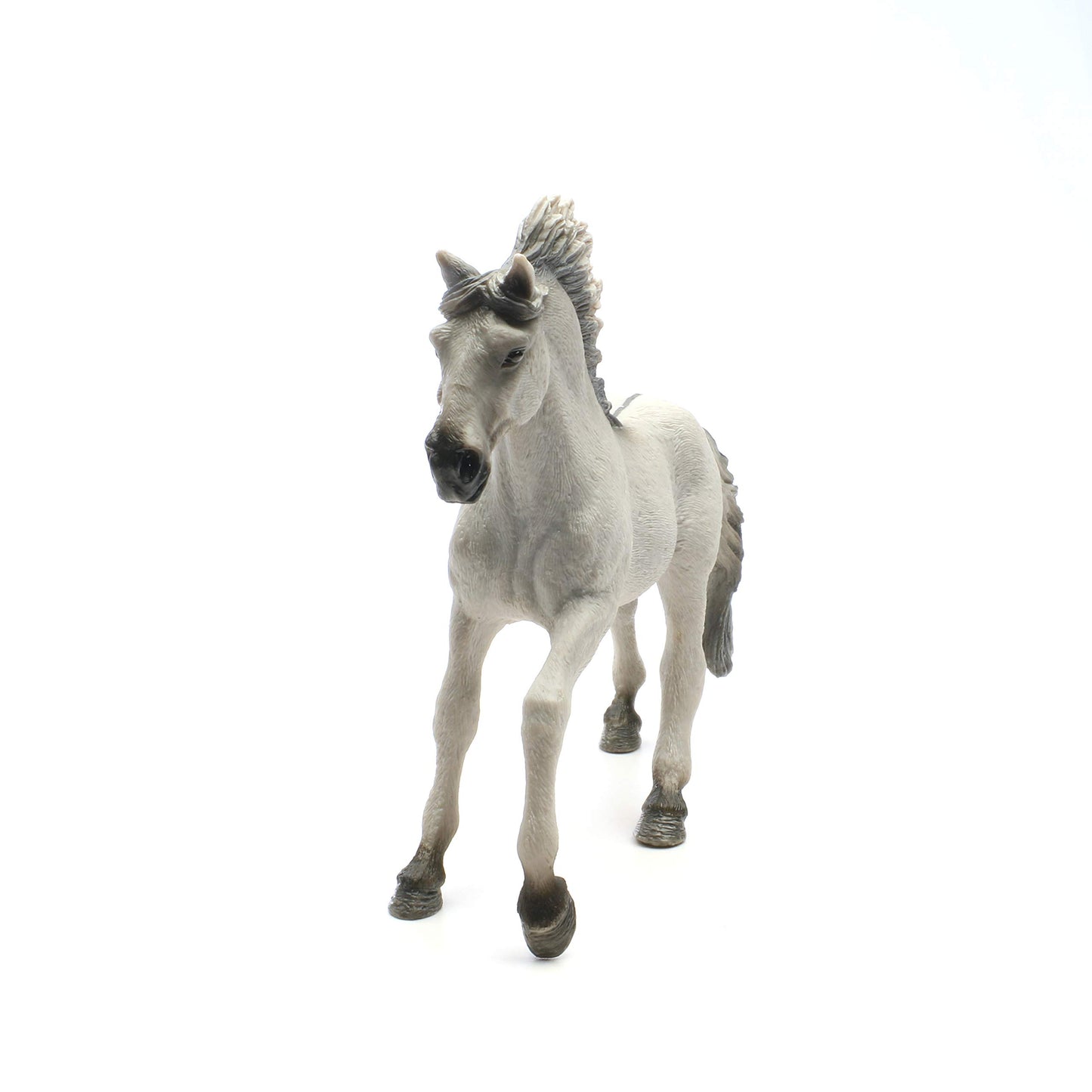 13915 - Sorraia Mustang Stallion